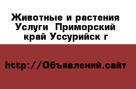 Животные и растения Услуги. Приморский край,Уссурийск г.